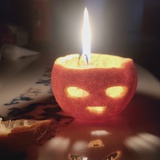 想红想疯了吧