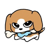 bingobao