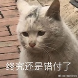 小有名气的富婆