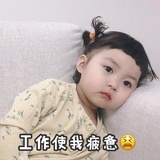 反正不会