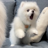 优遇的容颜