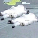 哈哈哈哈哈