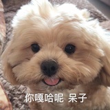 吃饱了撑的