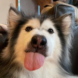 饭堂