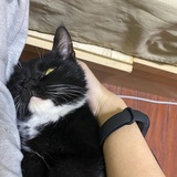 饭吃饱饱