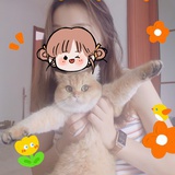 橙黄橘绿时