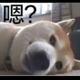 風