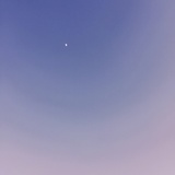 霖霖走走