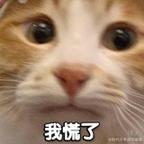 嘎嘎嘎