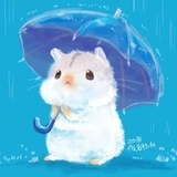 逆光·微辰