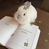 栀到了