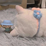 满天星的熊熊