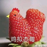 会思想的苇草