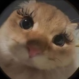 有多远滚多远