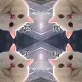 啊这