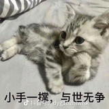 柠檬水里加点醋