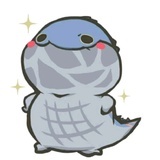 Solo追星勿扰