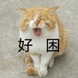 方小洋