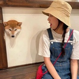 山山而川