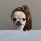 十婚看透人生