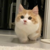饲养员