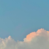 鱼鱼
