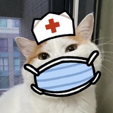 杜鹃山小奶龙