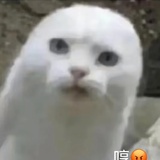 管理江湖骗子