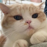 注销了