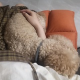 想要狗狗陪着我