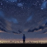 枫