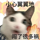 卡了不然全莎了