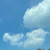 哦莫哦莫