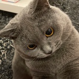 豆友215542909