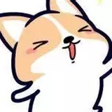 练习
