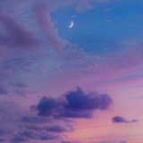 四季没有春