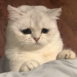 千城暮雪ぅ