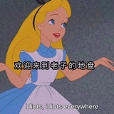 vtrdhdfn