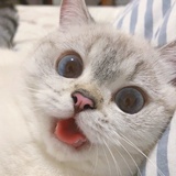 别看我
