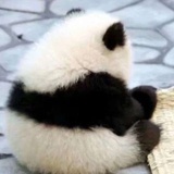 蓝色清晨