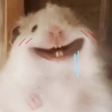 QAQ