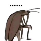 发酵粉