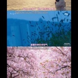 风吹不散的认真