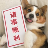葵葵桑