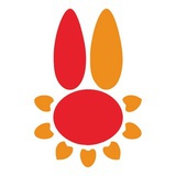 洛阳小白兔