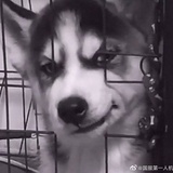 黑色橡皮屑