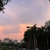 自由如风