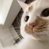 绾绾