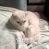 当年铁甲动帝王