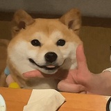 食神我们做朋友